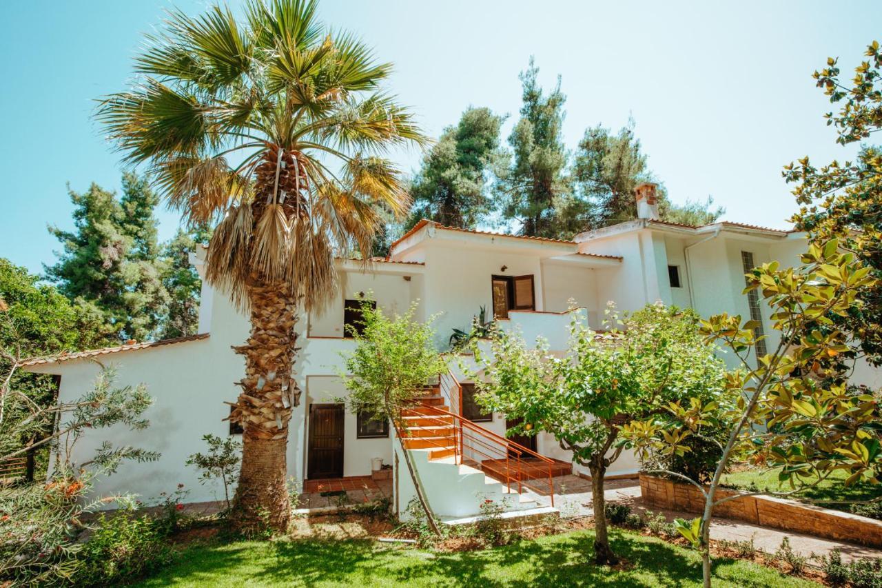 Forest House Near The Sea Sani  Exterior photo